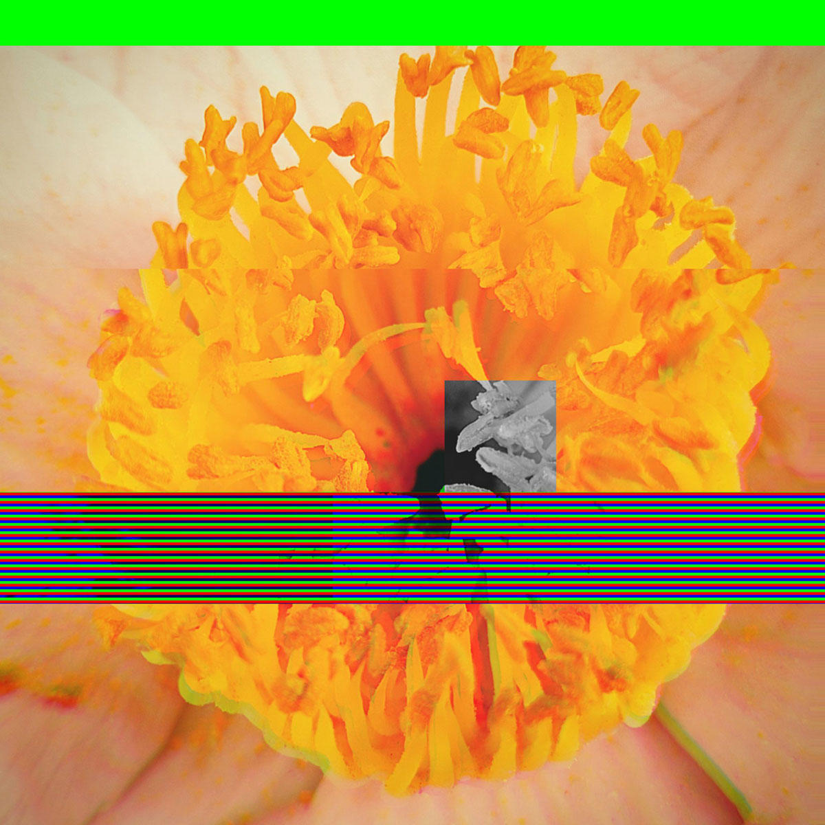 tap_jk_1200_20210427.jpg