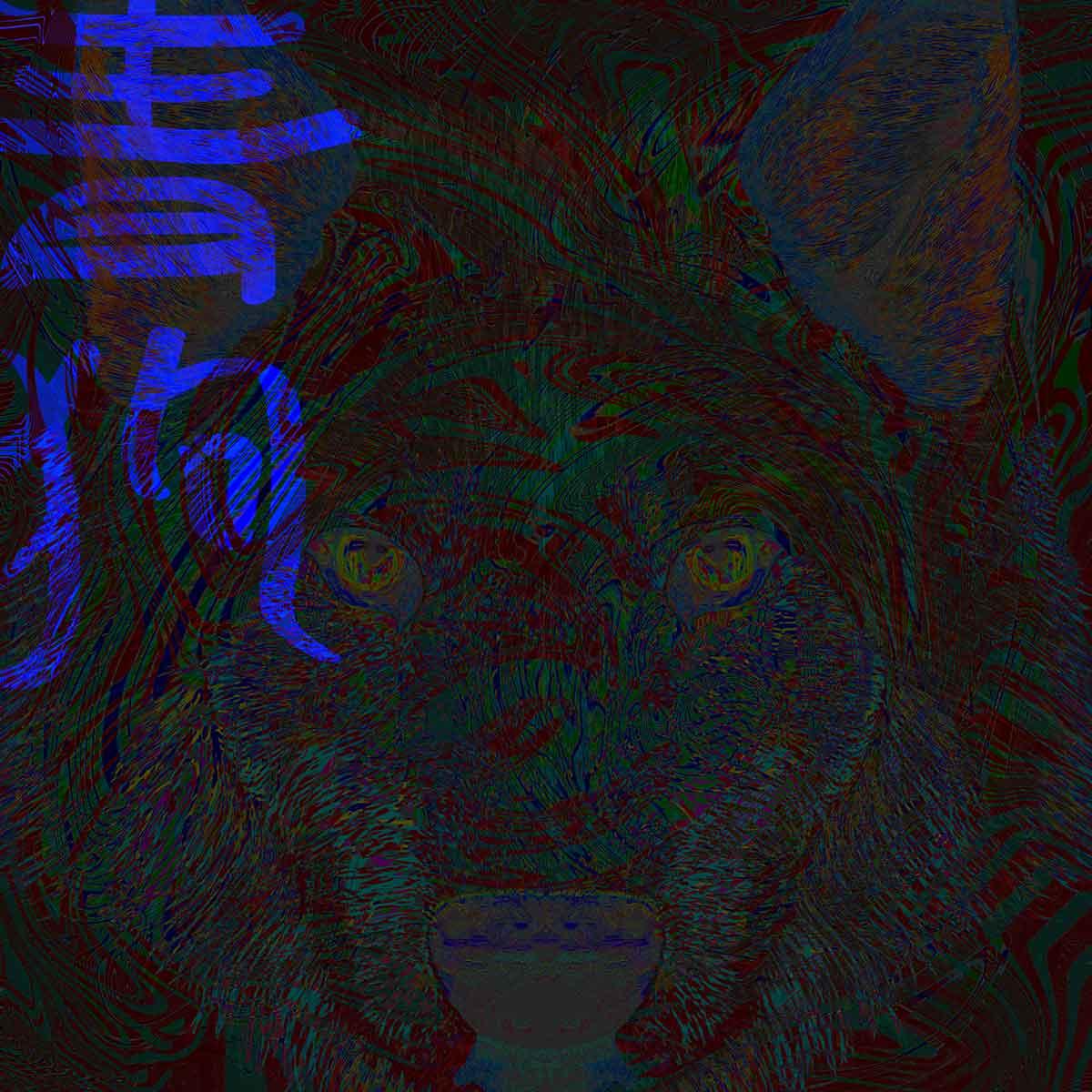 xamd_jk_1200_20210205.jpg